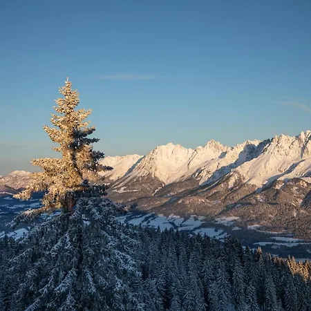 Stefan - In Den Kitzbueheler Alpen Apartament